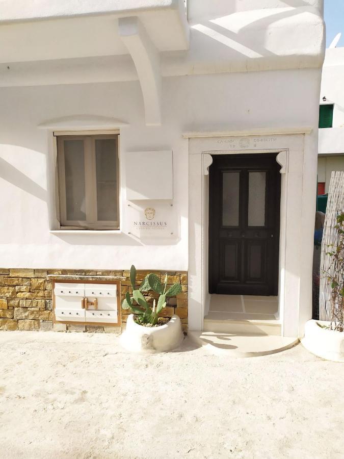 Narcissus Luxury Suites Naxos City Buitenkant foto