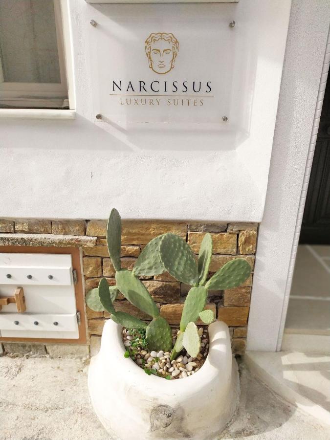 Narcissus Luxury Suites Naxos City Buitenkant foto